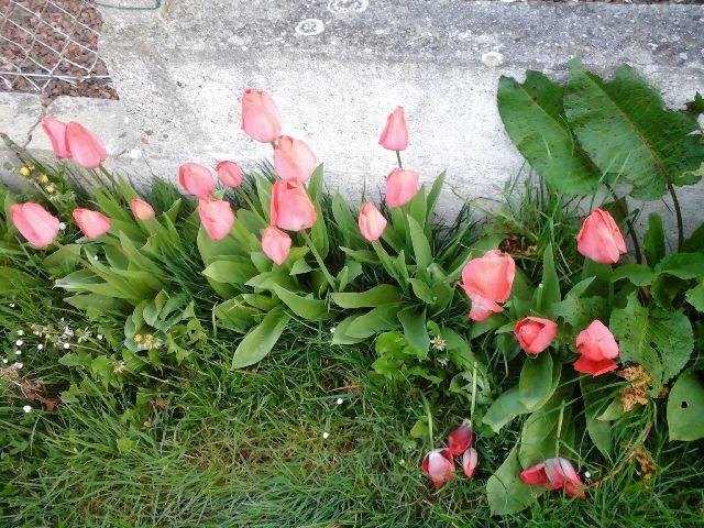 La Crielloise Villa Luaran gambar